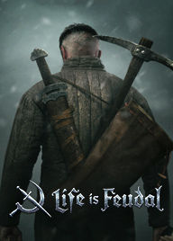 Life is Feudal